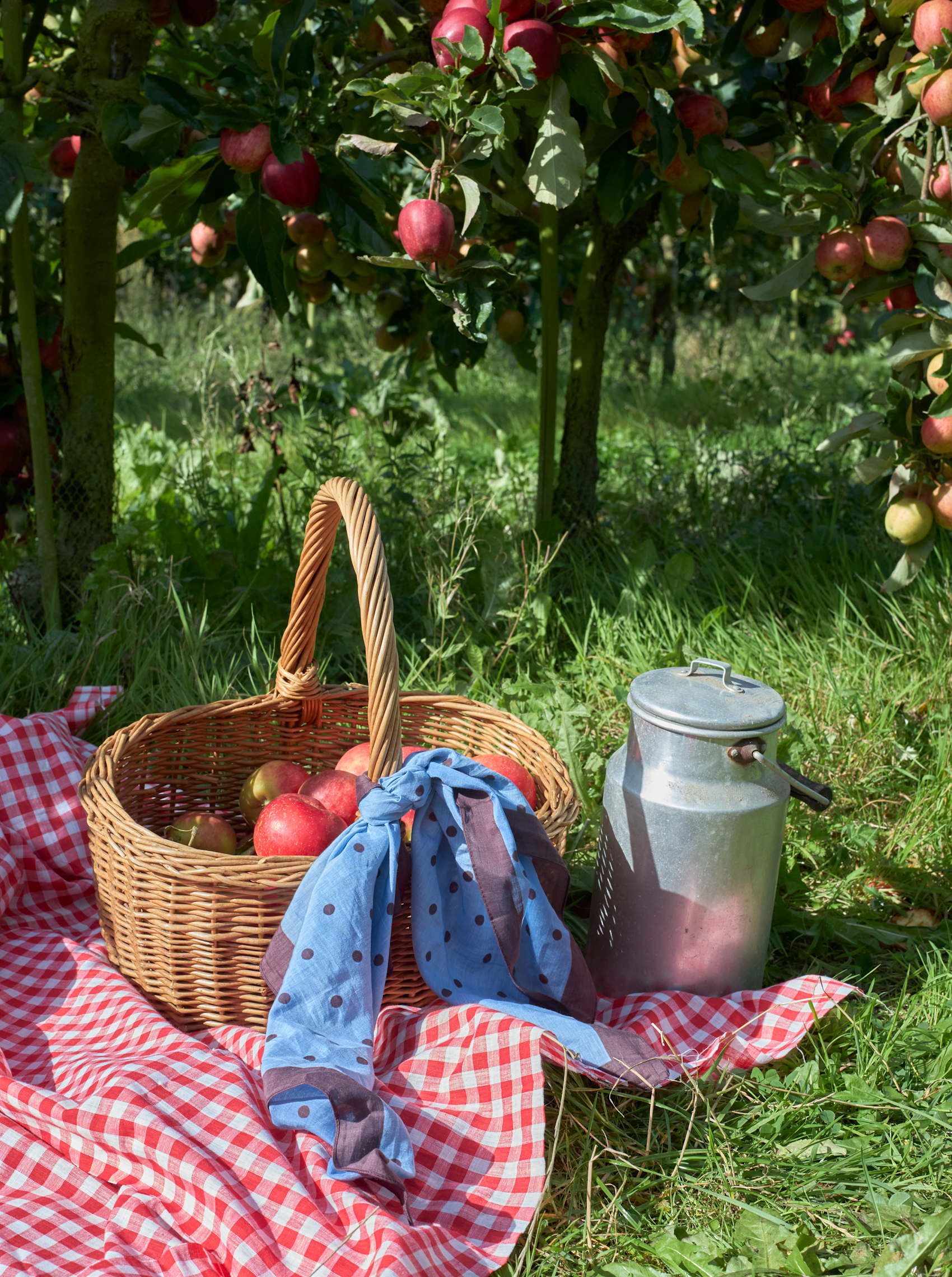 BCMARTINA mini scarf - Lt. Blue – Black Colour